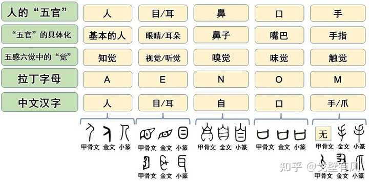 man的词义是怎么由无性别指代的“人类”演变为“男性”的? - 知乎
