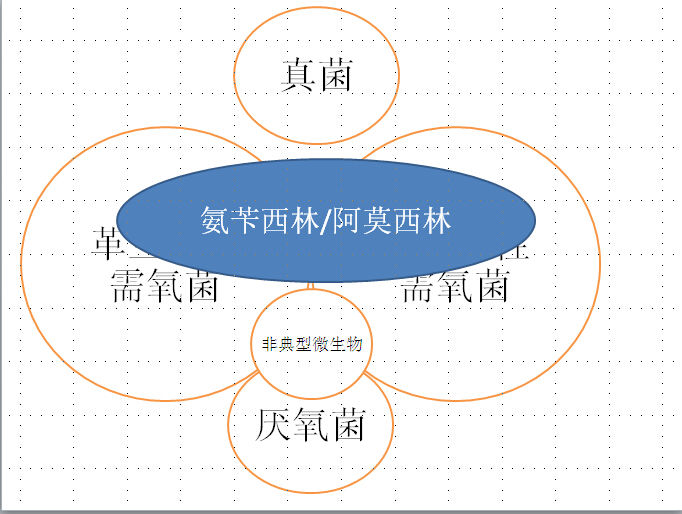 目前最强的广谱抗生素是什么？有什么厉害之处？ - 知乎