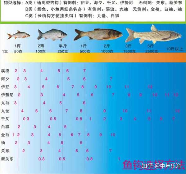 野钓如何选择一款合适的鱼钩？三个技术要点详解- 知乎