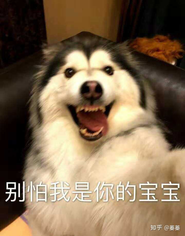 有什么恶狠狠的表情包？