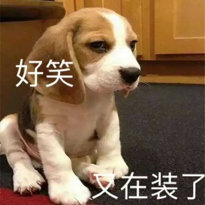 有没有什么实用又好笑的表情包？ - 知乎