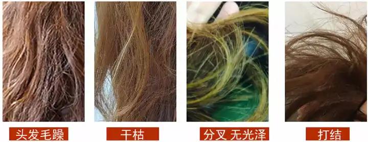 头发变得发梢干燥分叉打结因为什么?怎么恢复? - 知乎