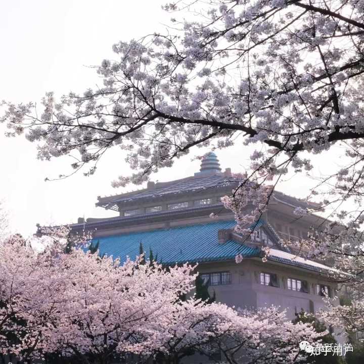 现今如何系统评价武大法学水平？ - 知乎