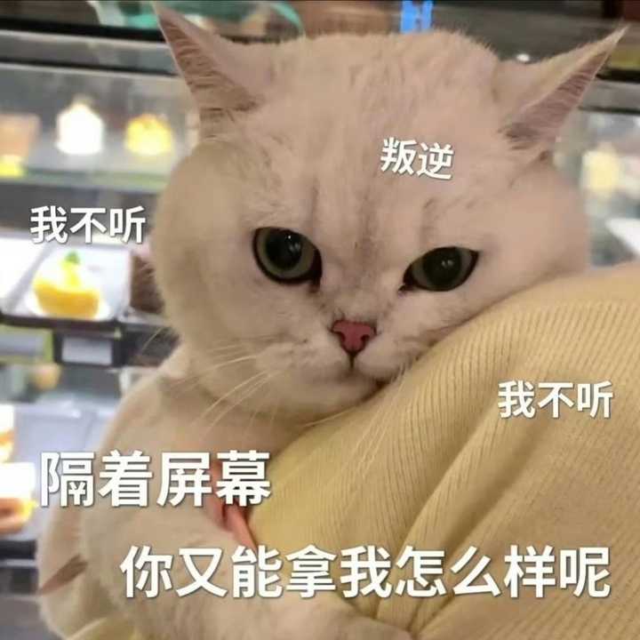 友友们,有没有发疯发癫的表情包? - 知乎