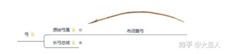 弓有哪些分类 他们的区别是什么 知乎