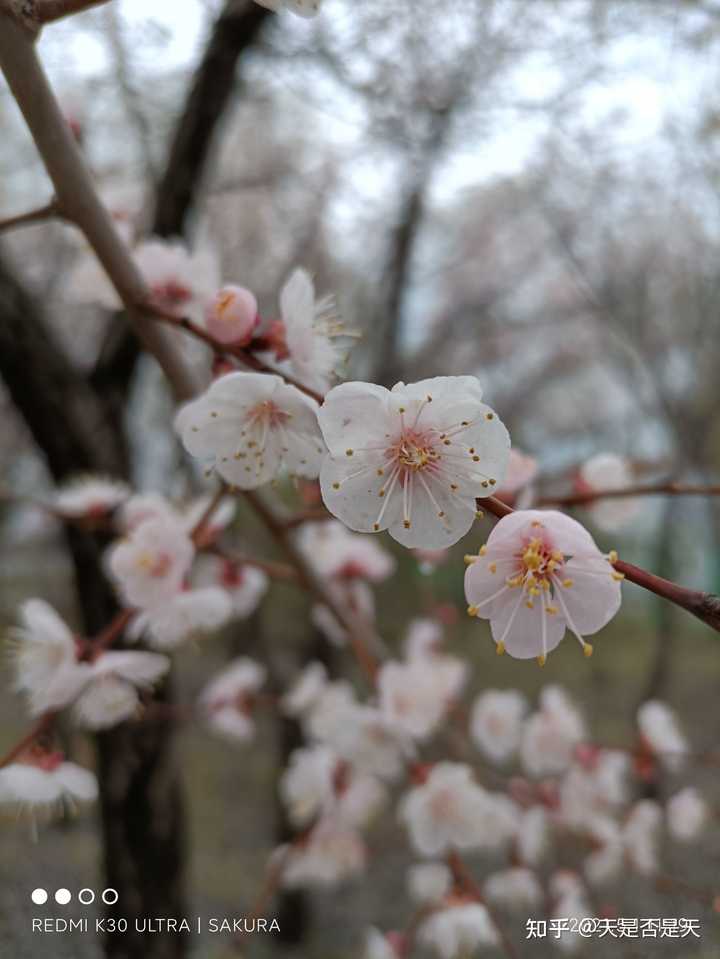 哈尔滨石油学院录取分数线_哈尔滨石油学院是几本_哈尔滨石油学院