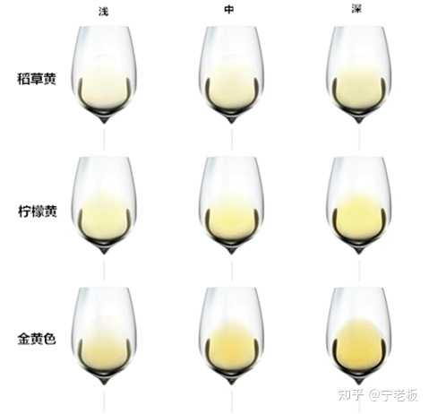 白葡萄酒选购有哪些技巧? - 知乎