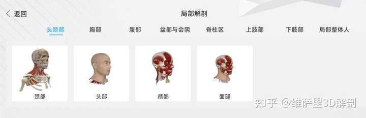 国内最好的解剖软件是3Dbody吗？ - 知乎