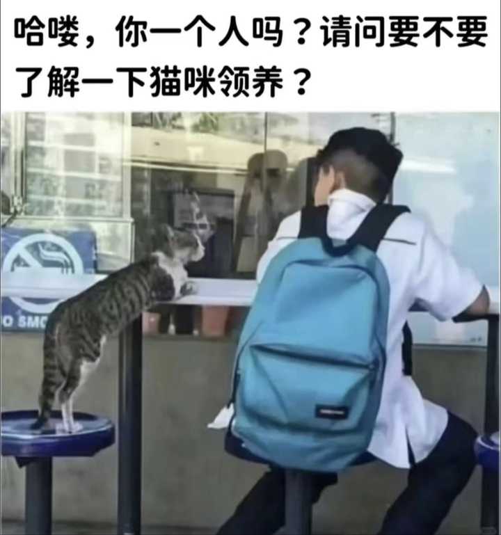 有哪些有趣的互联网MEME图/梗图/迷因图? - 知乎