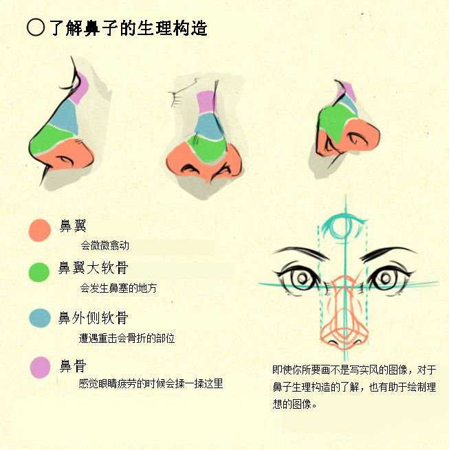 如何画动漫人物的鼻子？ - 知乎