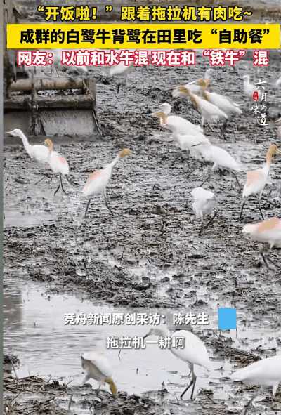动图封面