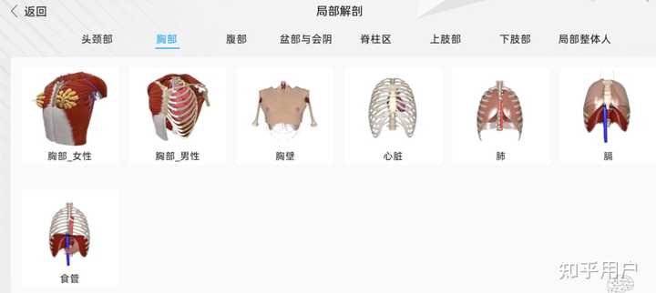 国内最好的解剖软件是3Dbody吗？ - 知乎