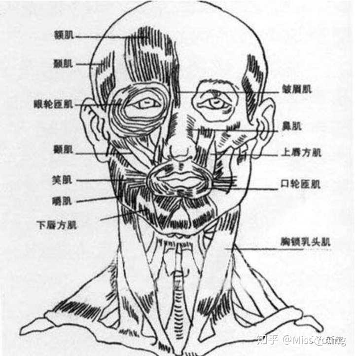 有个酒窝是种怎样的体验? - 知乎