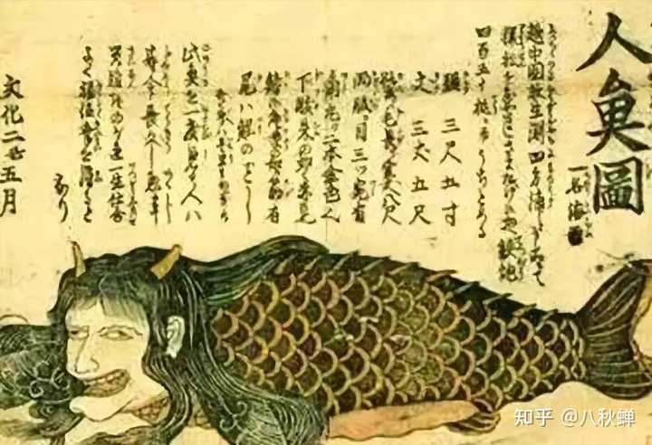 鲛人是否真实存在？ - 知乎