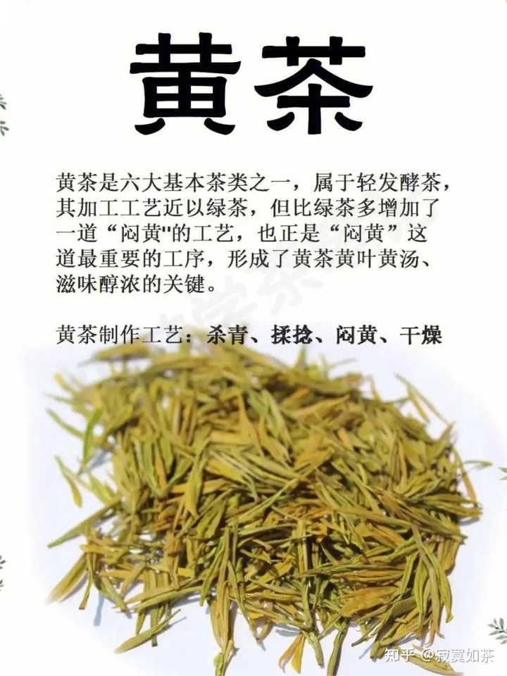 喝黄茶的好处和坏处分别是什么? - 知乎
