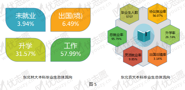 东北林业大学全国排名_东北林业排名多少_东北的林业大学排名