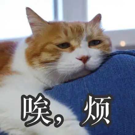 选装修公司怎么选_装修公司怎么选_选装修公司要选大品牌公司吗