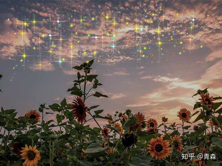 连云港有没有适合赶海得地方