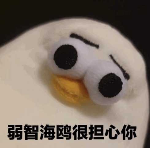 诸位大佬,仰头海鸥表情包有吗? - 知乎