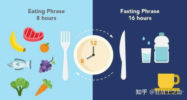 什么是 16+8 断食法?早进食和晚进食的减重效果一样吗? - 知乎