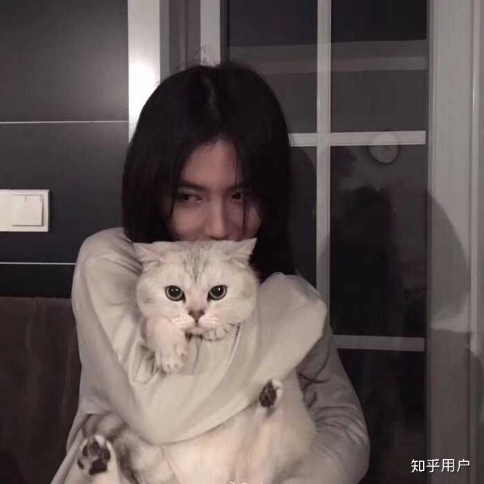 抱起猫的正确姿势是怎样? - 知乎