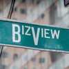 BizView