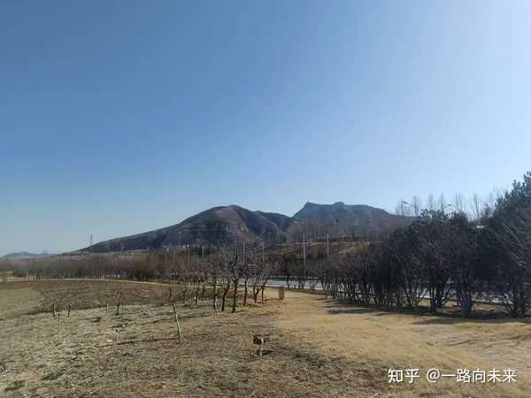 书读得多，就能觉悟吗？