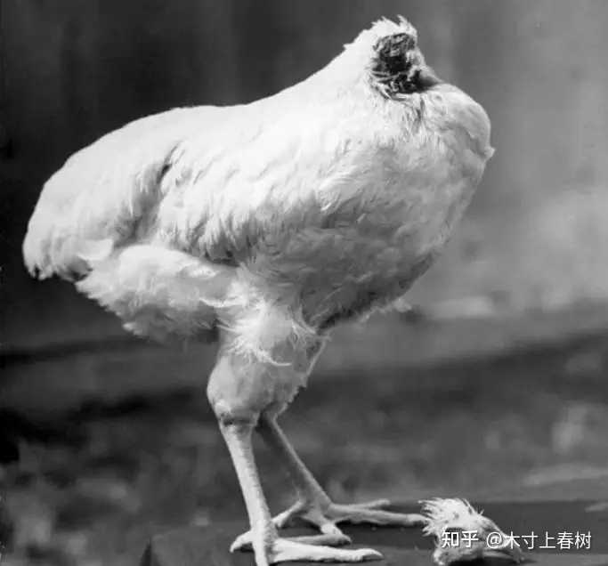 在《三体》的设定下,黑暗森林法则真是宇宙文明的唯一生存逻辑吗? - 知乎