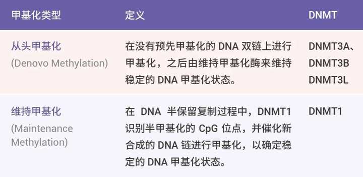 表观遗传学是什么? - 知乎
