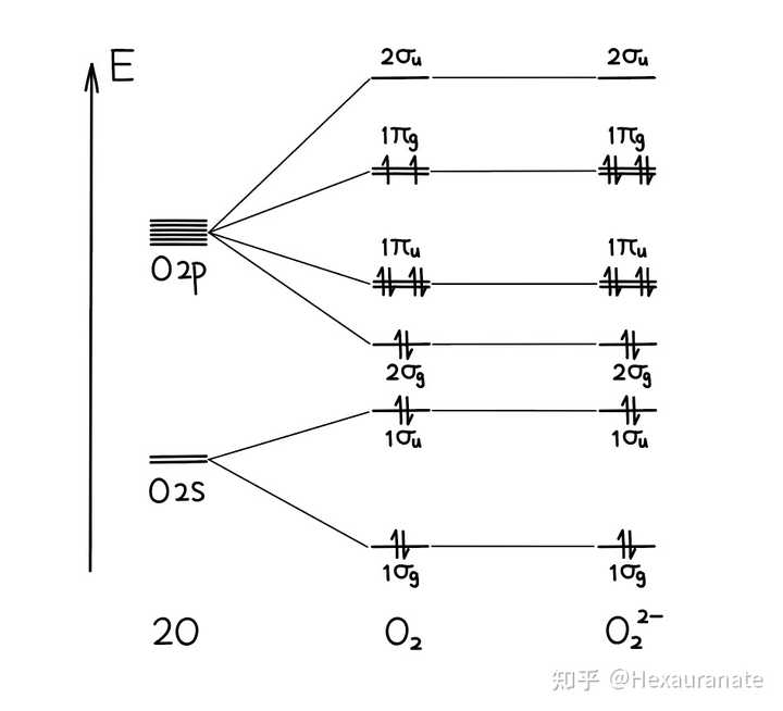 如何根据分子轨道判断O2和O2(2-)的顺反磁性? - 知乎