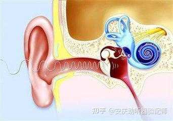 耵聍栓塞的原因有哪些呢？