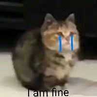 有没有哭着说I'm fine 的表情包? - 知乎