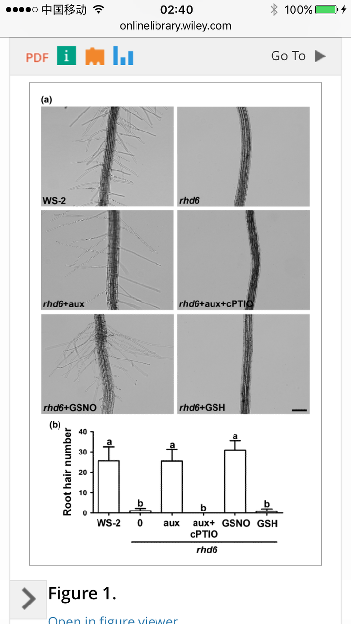 既然植物的根可以吸收养分,那么根上的根毛又有什么作用呢? - 知乎