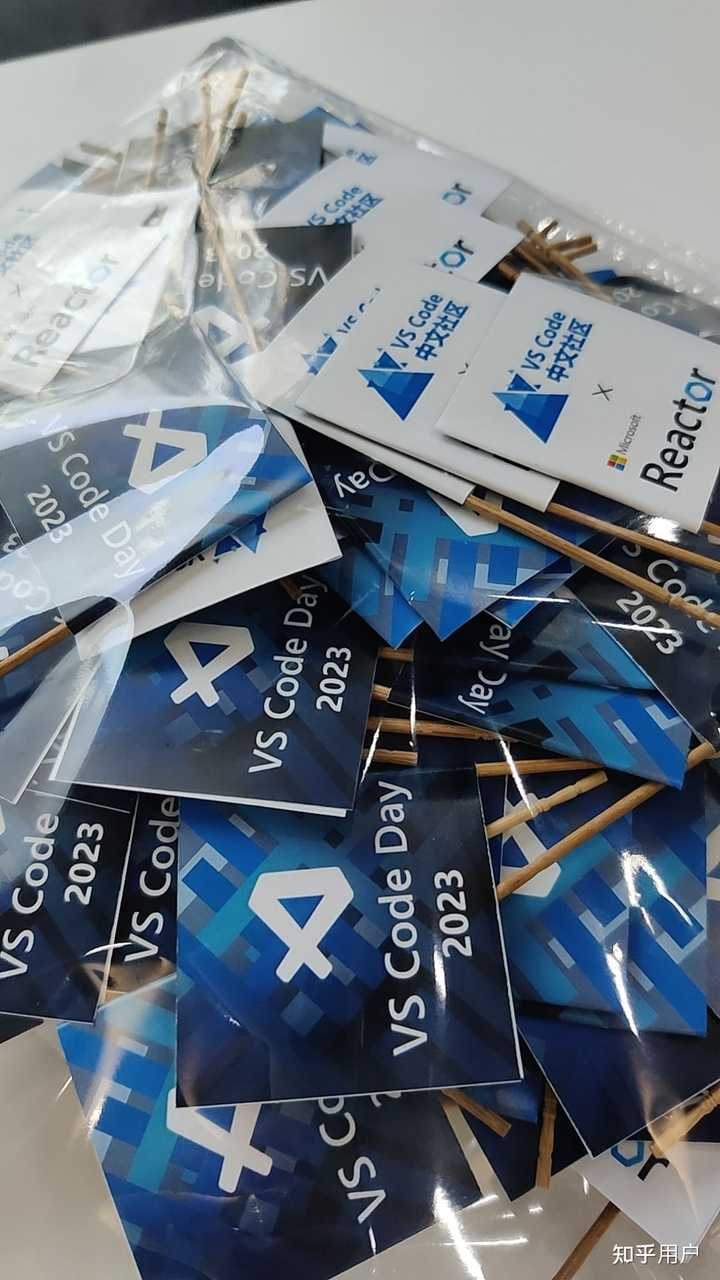 参加 VS Code Day in China 2023 大会是怎样的体验? - 知乎