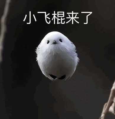 有没有这种小鸟表情包呀