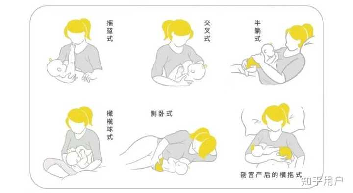 母乳喂养的正确姿势,你做对了吗? - 知乎
