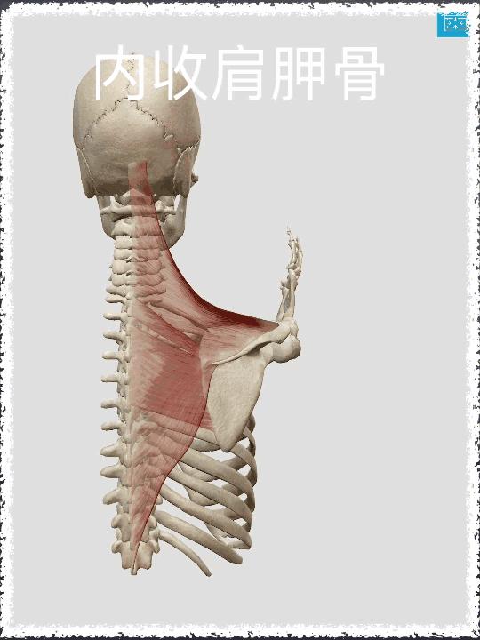 什么时候你发现自己其实很病态