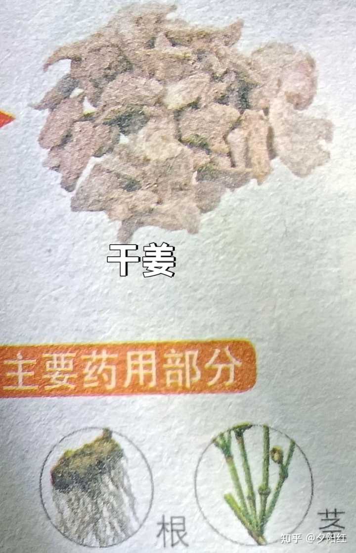 柴胡桂枝汤和柴胡桂枝干姜汤的病机病所区别是什么？临床辨证运用怎么区分关键点? - 知乎