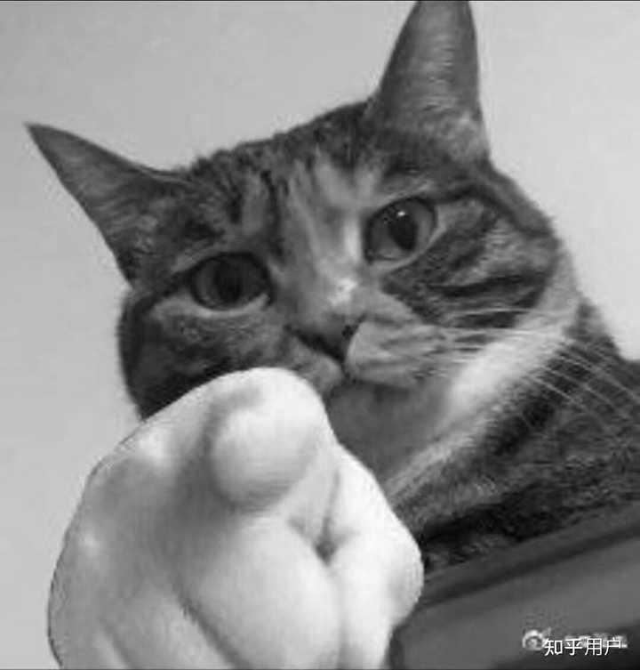谁有二哈指人的表情包? - 知乎