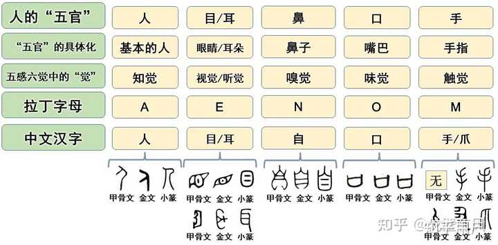 man的词义是怎么由无性别指代的“人类”演变为“男性”的? - 知乎