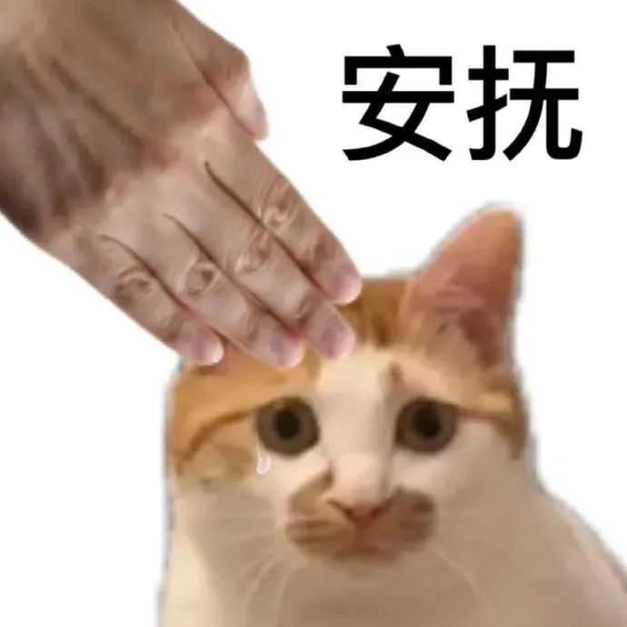 有哪些安慰别人的表情包? - 知乎