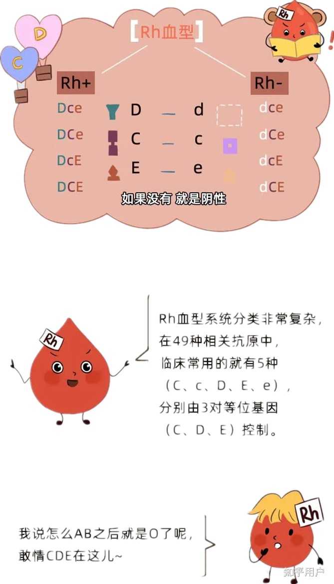 什么血型更稀有? - 知乎