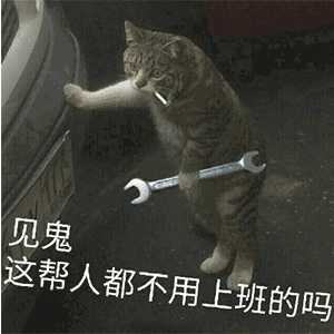 有没有猫咪版的打工人猫表情包