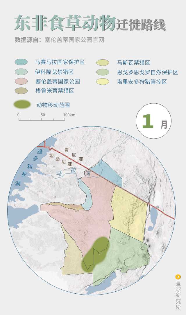 非洲野生动物大迁徙都有哪些有意思的看点