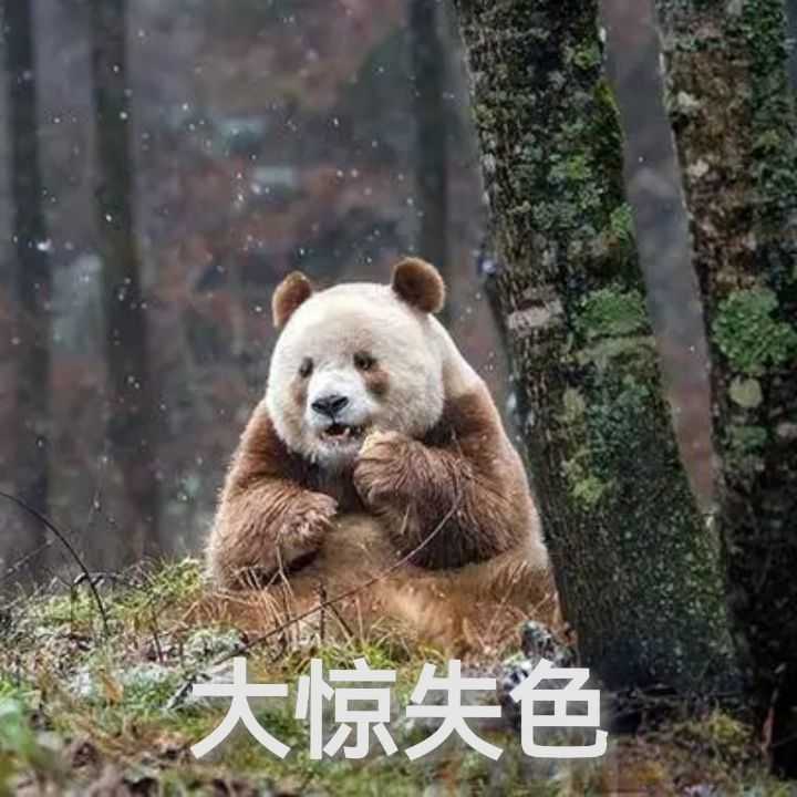 受到惊吓的表情包,大神们有木有? - 知乎