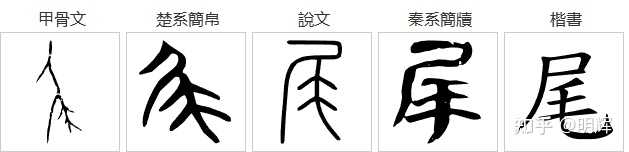 “屬”字初文是何构形,所表何义? - 知乎