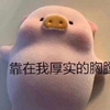 猪猪先生