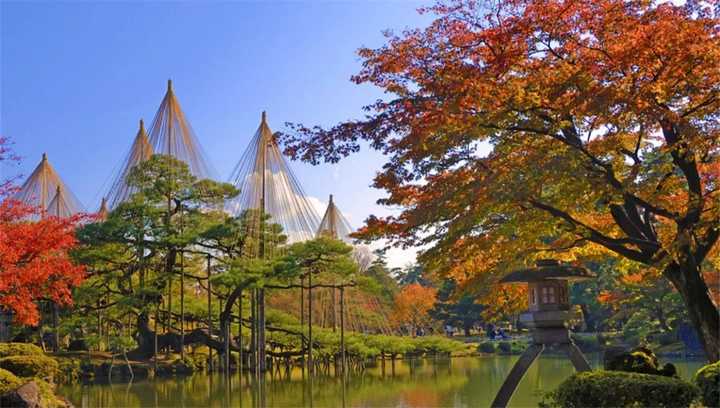 日本有哪些地方看枫叶最好 知乎 日本有哪些地方看枫叶最好 知乎