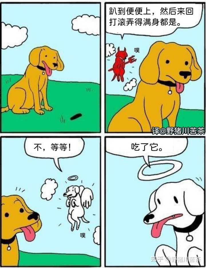 你最喜欢和最常用的的梗图/meme图是什么？ - 知乎