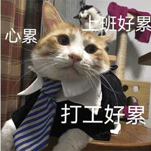 有没有猫咪版的打工人猫表情包